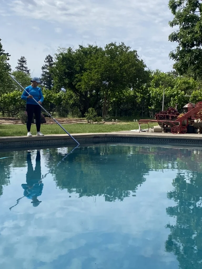 Servicio de Limpieza